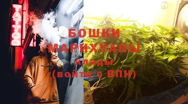 трава Верея