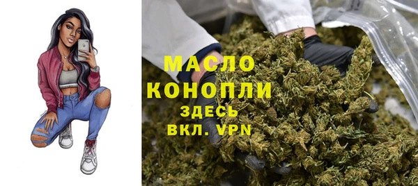 прущий лед Бородино