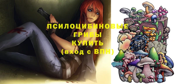 МДПВ Верхний Тагил