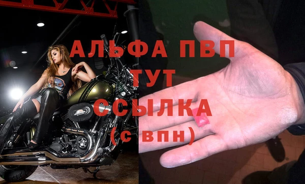 прущий лед Бородино