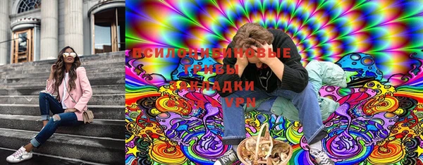 дмт Сясьстрой