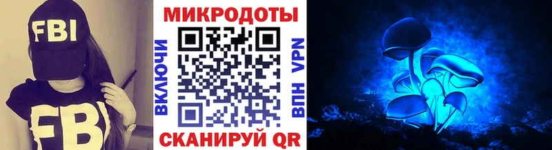 Галлюциногенные грибы мухоморы  Дубна 